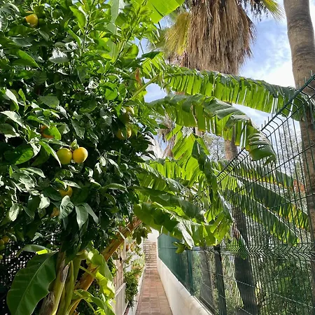 Sun Castle Apartamento Fuengirola